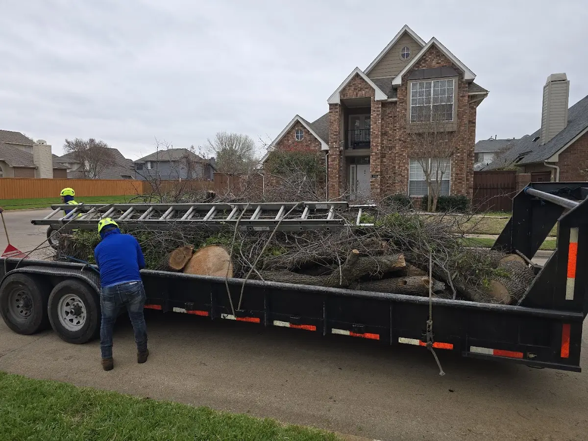 Expert Lot Clearing with proper safety equipment in Woodbine